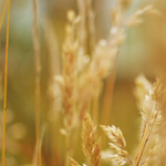 Fedezd fel a Weiss Casino vil&aacute;g&aacute;t: Tippek &eacute;s Tr&uuml;kk&ouml;k a Hat&eacute;kony J&aacute;t&eacute;k&eacute;rt