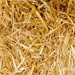 Ontgrendelen van de Hidden Jack Casino App en Bonus Wiskunde: Een Uitputtende Technische Analyse