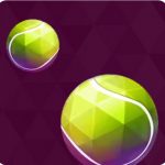 Análise Técnica do App Malina Casino: Guia de Instalação e Matemática de Bônus